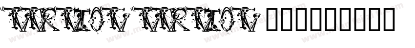 Version Version 200字体转换